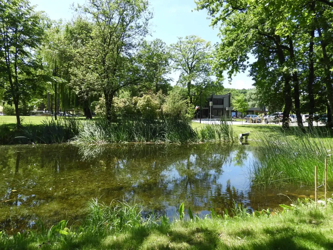 L'étang de Vétraz-Monthoux avec la mairie en arrière-plan